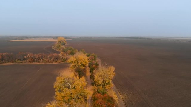 Flight Over the Plowed Field and Rural Road