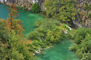 Autumn forest in rainy weather. Croatia, Plitvice Lakes.