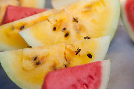 slices of yellow and red watermelon