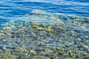 sea with corals view from shore