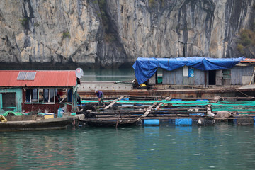 Fototapeta Local fishermen`s boats at Cat Ba island in Ha Long bay, Vietnam obraz