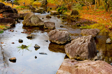 Big stone in the small river