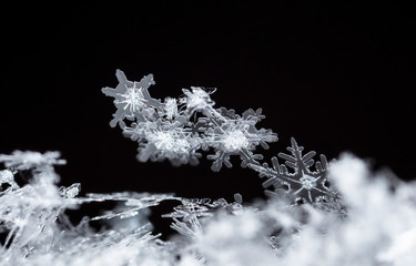 snowflake, little snowflake on the snow