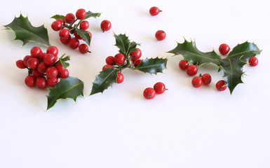 Christmas holly Ilex aquifolium isolated on white table background. Evergreen leaves with red berries. Empty space for holiday text. Decorative floral frame, web banner. Flat lay, top view.