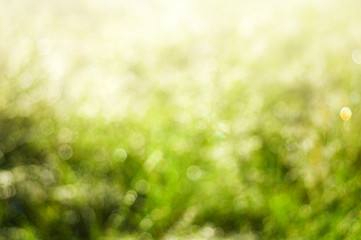 Tiny elements of fog drifting in the air.Blurred natural background of cold foggy morning with green grass on mountain top and blue sky.