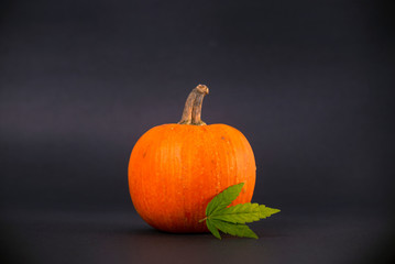 Pumpkin and marijuana leaf isolated on black