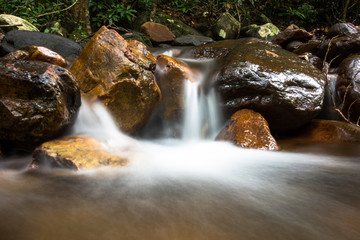Tiny river waterfall in the rainforest