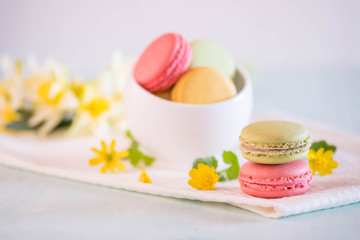 colorful macarons in white porcelain bowl on blue wooden table with nice yellow flowers