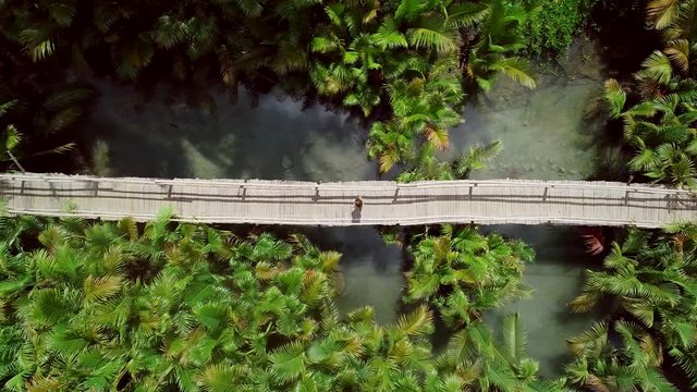 Aerial view of woman walking on long wooden bridge among palm trees in Bojo river, Philippines.
