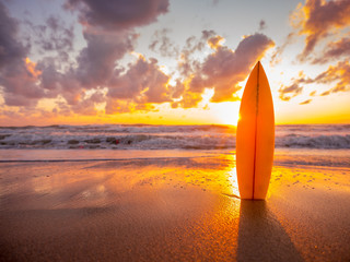 surfboard on the beach in sea shore at sunset time with beautiful light - obrazy, fototapety, plakaty