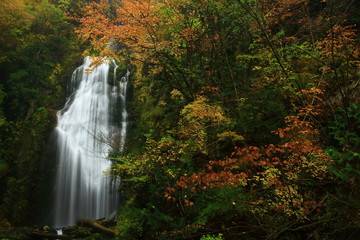 紅葉の抱返り渓谷