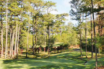 Golfplatz Philipinen