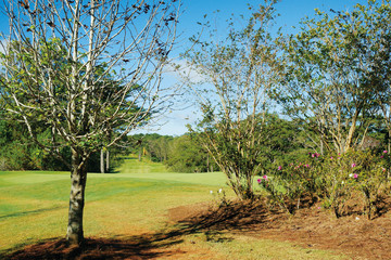 Golfplatz Philipinen