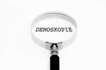 Demoskopie im Fokus