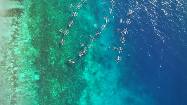 Aerial view of tourists swimming with whale sharks, Oslob, Philippines.