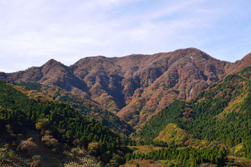 Fototapeta na wymiar 別府の山