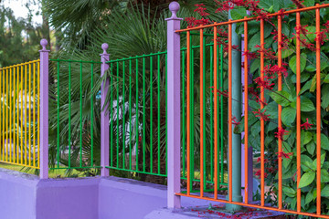 color fence in the park