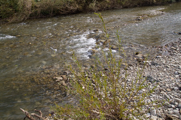 River rifts