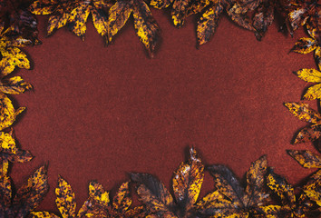 Leaves brown frame