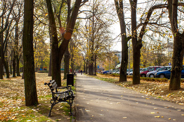 Public park in autumn - Vrnjacka Banja, Serbia.. Vrnjacka Banja is a popular tourist destination in Serbia, a place that every year visit a millions of tourist. Also, here is placed a several source o