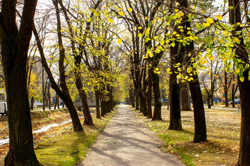 Fototapeta na wymiar Public park in autumn - Vrnjacka Banja, Serbia.. Vrnjacka Banja is a popular tourist destination in Serbia, a place that every year visit a millions of tourist. Also, here is placed a several source o