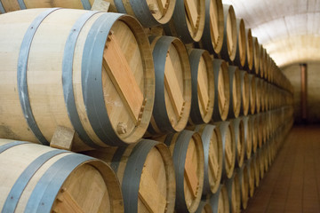 Wooden wine barrels in a cellar