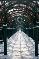 Berso, pergola, arch, winter.