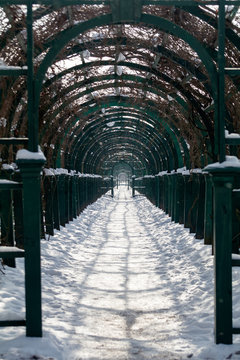 Berso, pergola, arch, winter.