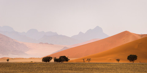 Red Sossusvlei dunes against Naukluft mountains. Panoramic landscape of Sossusvlei, Namib Naukluft National Park, Namibia