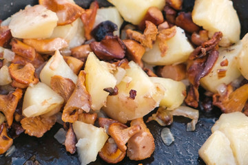 Fried potatoes with mushrooms and onions. Close-up.