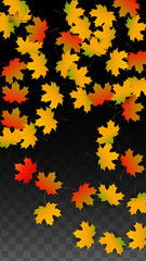 September Vector Background with Golden Falling Leaves. Autumn Illustration with Maple Red, Orange, Yellow Foliage. Isolated Leaf on Transparent Background. Bright Swirl. Suitable for Posters.