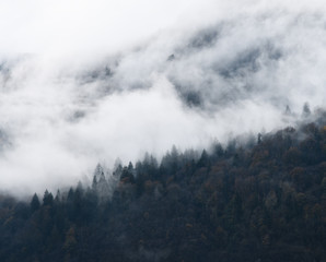 foggy autumn mountains