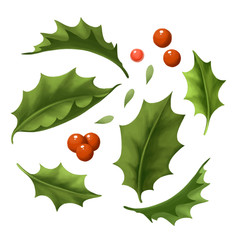 Christmas and new year Illustration about green holly branch with red berry. Decorative set of holiday tree isolated on white background