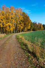 Herbstwanderweg