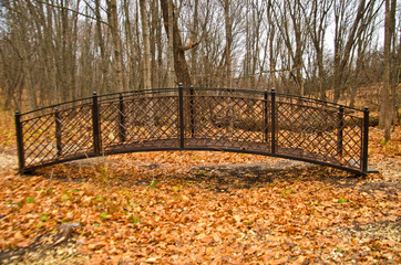 Autumn forest and bridge and path selective focus