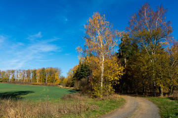 Herbstwanderweg