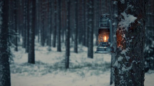 Lantern hanging on a tree in snow covered forest in winter