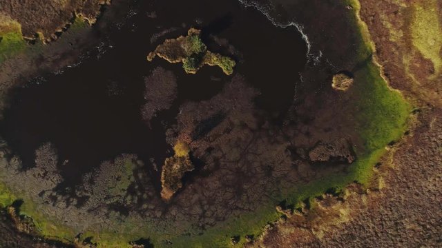 Swamps in Kemeri a summer day with fields of beautiful lakes 4K Latvia Drone flight