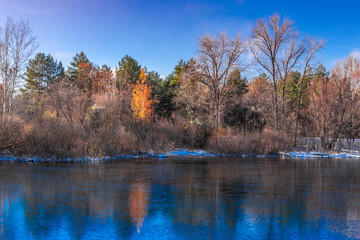 Winter landscape - forest lake with new thin ice. Trees are reflected in the water covered with new ice.