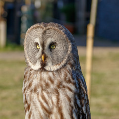 Birds of Prey Centre