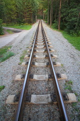 Fototapeta premium children's railway in forest