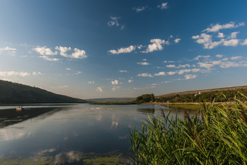 summer landscape with river