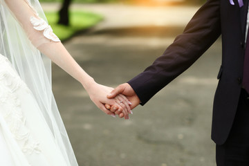 Couple holding hand in the park in the sunset