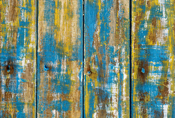 old tree painted in red yellow green color