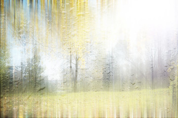 Autumn background in the park