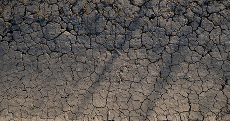 Top view of dried soil marked all over with cracks, with occasional foliage and shadows cast by dry vegetation. Background, wallpaper, texture image.