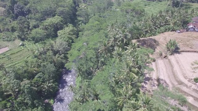 Flying Over Ayung River In Karangasem Bali. This River Is Famous For White Water Rafting.