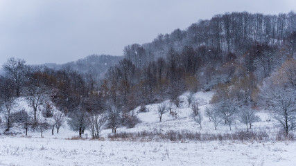 Magical winter scene with snow falling over the hills and trees. Rural landscape in Romania on a cold day.