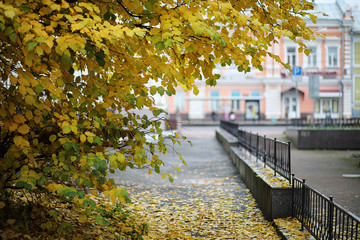 Autumn landscape. The leaves fly from the trees in the city. Autumn in the city on small streets along forged fences