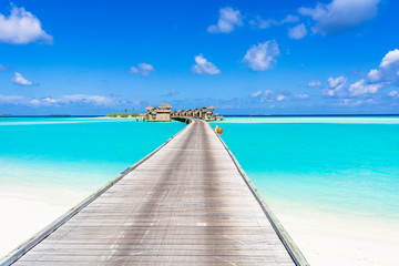 Fototapeta premium インド洋の美しいサンゴ礁の海